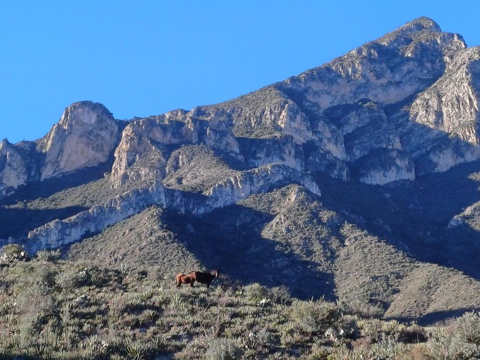 La Blanca