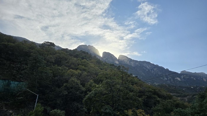 Mesa del Epazote