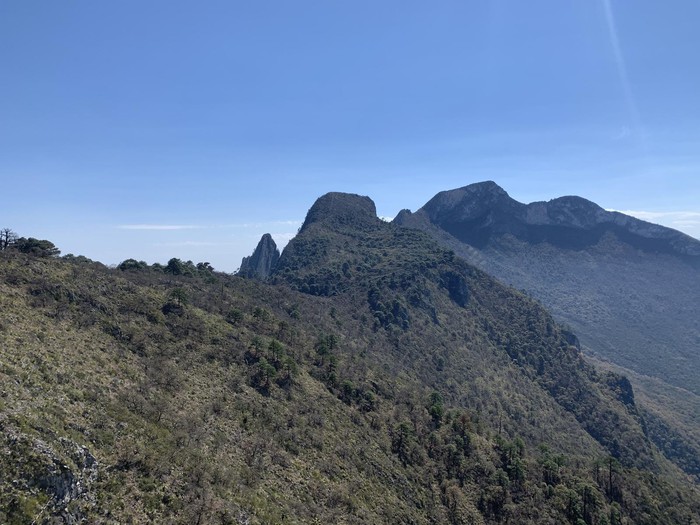 Pico Cuadrado