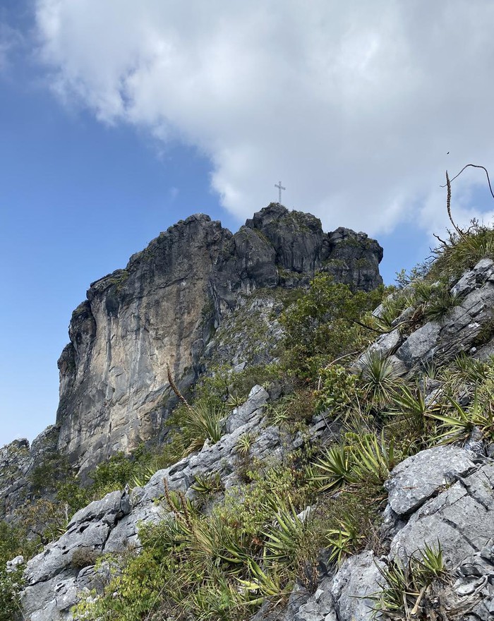 Pico Sur