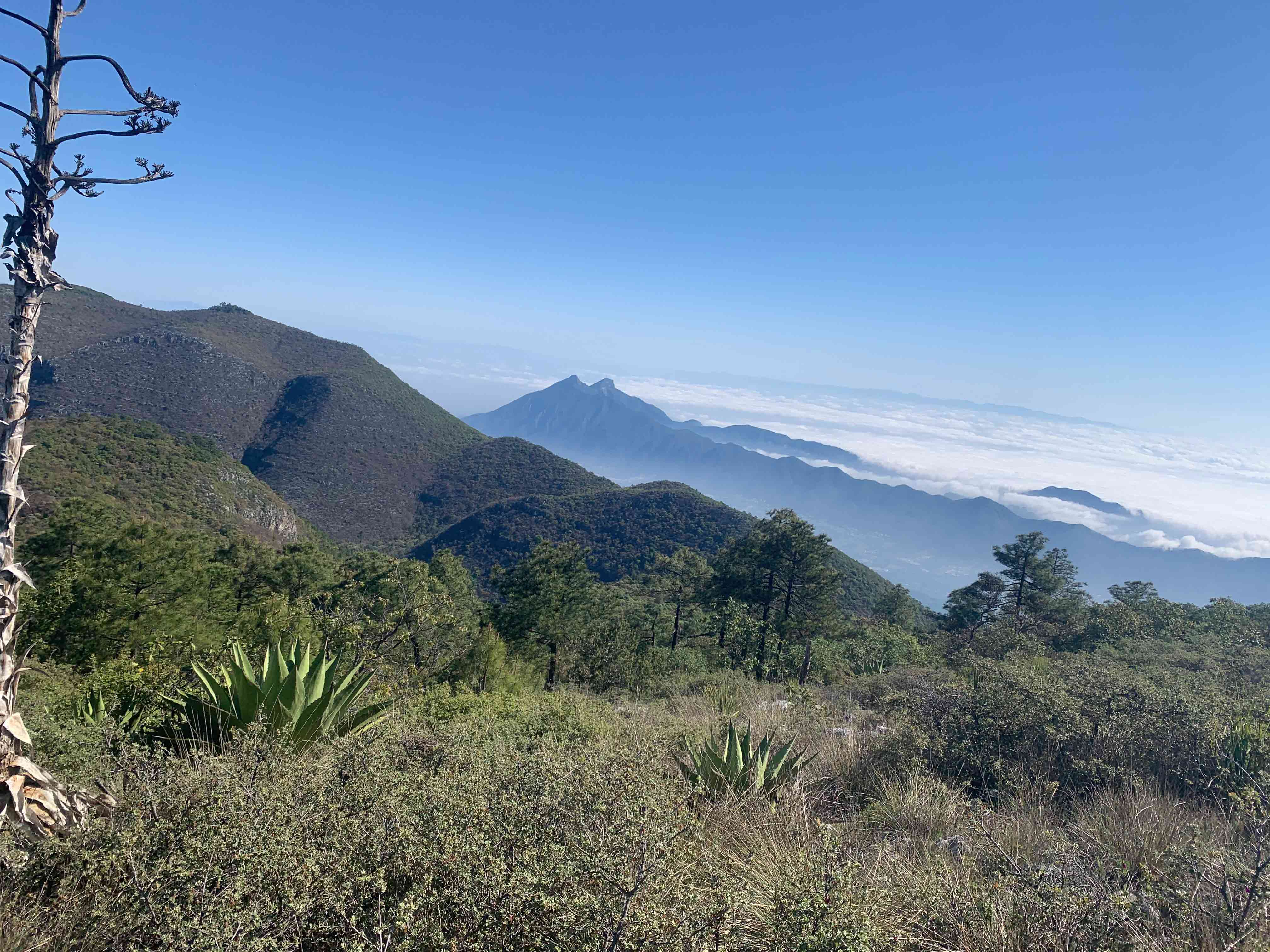 Recorrido Batea a Chancaca